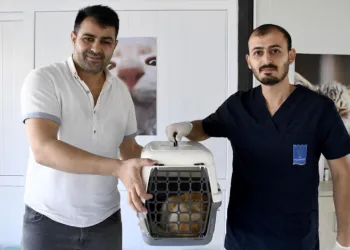 Kuşadası’nda patili dostlar emin ellerde