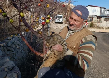 Hayvanlar için doğaya yem bırakıyor