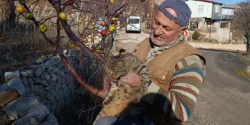 Hayvanlar için doğaya yem bırakıyor
