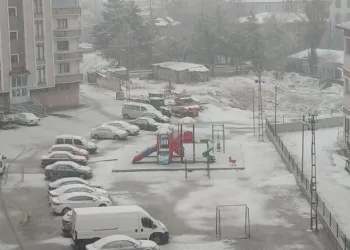 Aşkale güne kar yağışı ile başladı