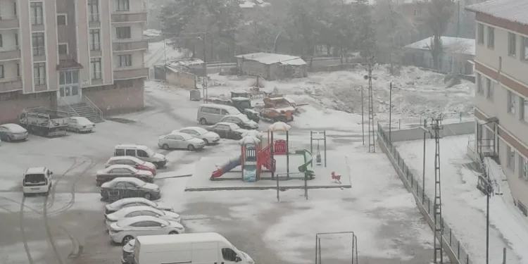 Aşkale güne kar yağışı ile başladı