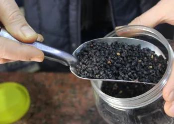 Esnaftan ‘kara mürver’ tavsiyesi