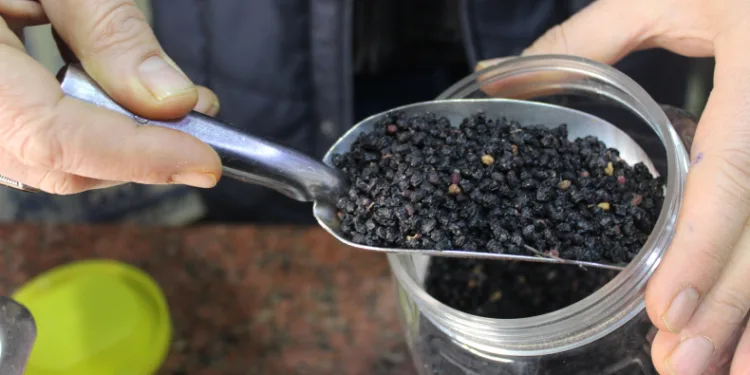 Esnaftan ‘kara mürver’ tavsiyesi
