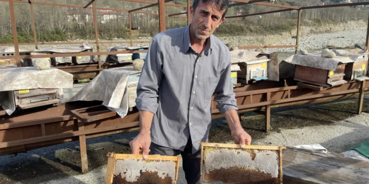 ‘Kafkas arısı’ davası