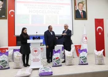Muş’ta çiftçilere tritikale ve macar fiğ tohumu törenle dağıtıldı