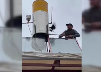 Mahsur kalan karga kurtarıldı