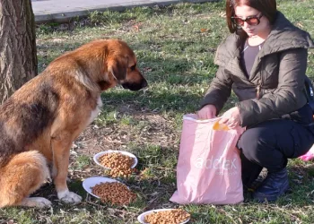 Köpeğine hediye gelen mamaları sokak hayvanlarına dağıttı
