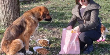 Köpeğine hediye gelen mamaları sokak hayvanlarına dağıttı