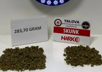 Yalova’da uyuşturucu operasyonu