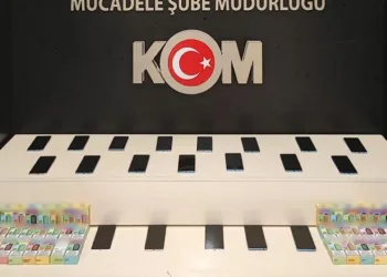 Van’da gümrük kaçakçılığı operasyonu