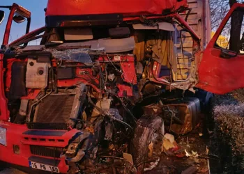 Bursa’da tır ağaca çarptı, sürücü ağır yaralandı