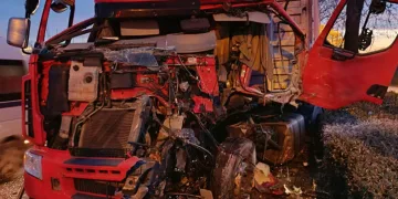 Bursa’da tır ağaca çarptı, sürücü ağır yaralandı