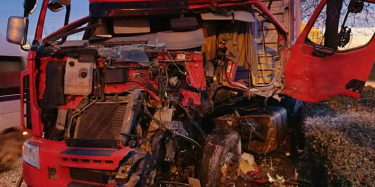 Bursa’da tır ağaca çarptı, sürücü ağır yaralandı