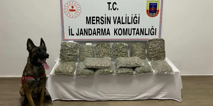 Mersin’de 14 kilo 200 gram skunk ele geçirildi