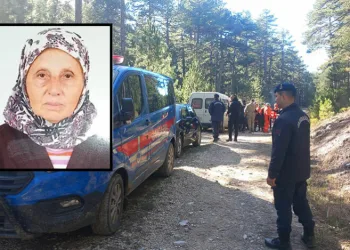 Mantar toplarken kaybolan yaşlı kadının cansız bedenine ulaşıldı