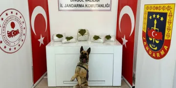 Bingöl’de toprağa gömülü 13 kilo uyuşturucu ele geçirildi