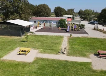 Mustafakemalpaşa Hayvan Barınağı binlerce cana yuva oldu