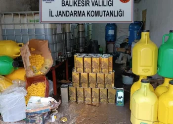 Sahte zeytinyağı imalathanesine baskın
