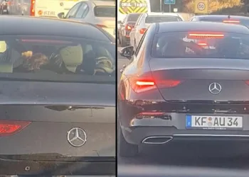 İzmir’de bir suç örgütü daha çökertildi