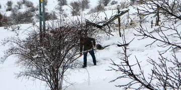 Posof’ta kar ve tipi esareti