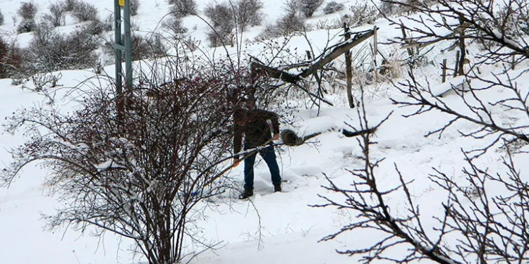 Posof’ta kar ve tipi esareti