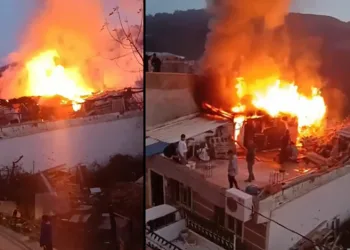 Bursa’da zeytinlik alandaki cinayetin zanlısı teslim oldu