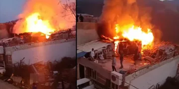 Bursa’da zeytinlik alandaki cinayetin zanlısı teslim oldu