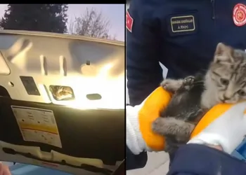 Bursa’da kaputa giren kediyi itfaiye ekipleri kurtardı