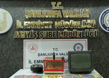 Şanlıurfa’da tombala baskını