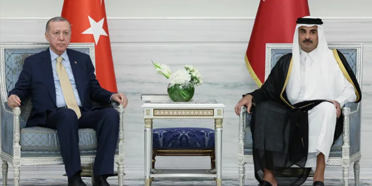Erdoğan Hamad Al Thani ile görüştü