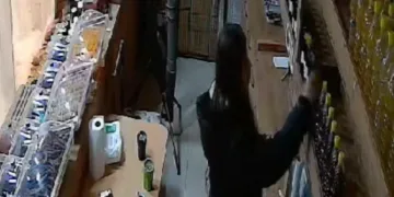 Elini kolunu sallayarak hırsızlık yaptı
