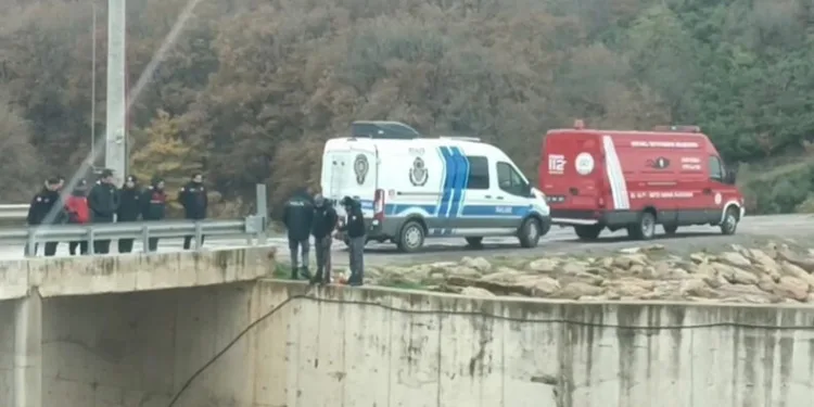 Mantar toplamaya gitti, ceset buldu