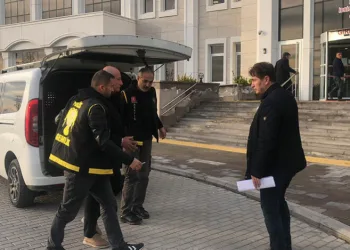 Bursa’da zeytinlik alandaki cinayetin zanlısı teslim oldu