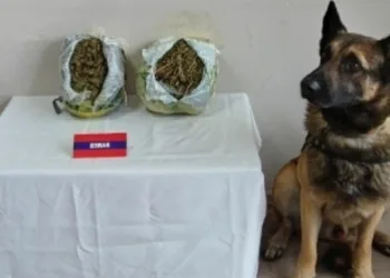 Nar kasalarından 2 kilo uyuşturucu çıktı