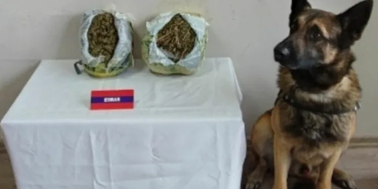 Nar kasalarından 2 kilo uyuşturucu çıktı