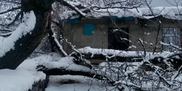 Şırnak’ta fırtına nedeniyle ağaç devrildi