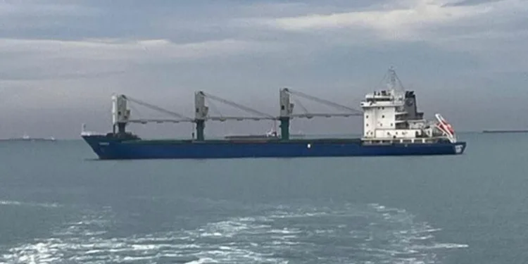Rusya’dan Slovenya’ya giden kuru yük gemisi İstanbul Boğazı’nda arıza yaptı
