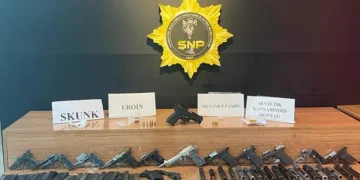 Şanlıurfa’da silah ve uyuşturucu operasyonu