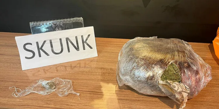 Şanlıurfa’da 4 kilo uyuşturucu ele geçirildi