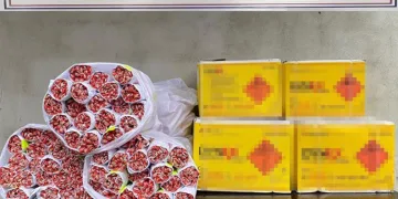 Jandarma dinamit ve fünye ele geçirdi