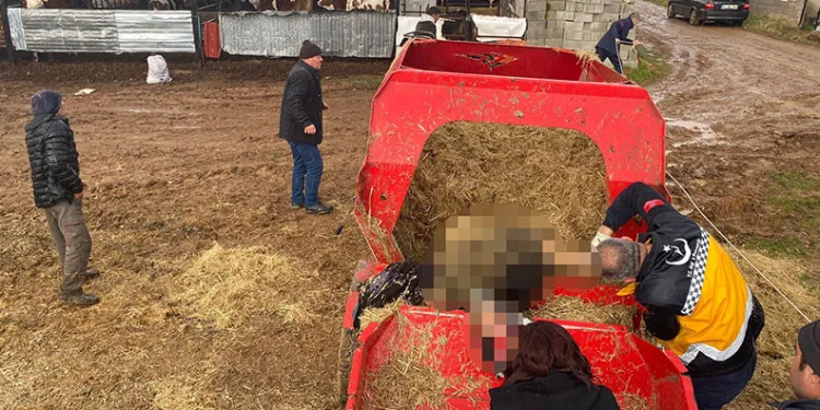 Yem karma makinesine düşen genç feci şekilde can verdi