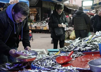 Hava şartları balık fiyatlarını etkiledi