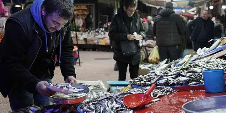 Hava şartları balık fiyatlarını etkiledi