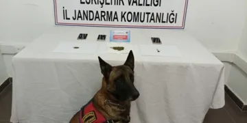 Uyuşturucu operasyonlarında 26 şahıs hakkında işlem yapıldı