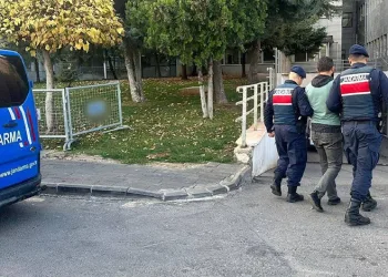 Terör örgütü propagandası yapan şahıs yakalandı