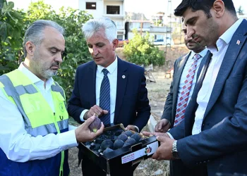 Toprak, Bursa Büyükşehir’le bereketleniyor