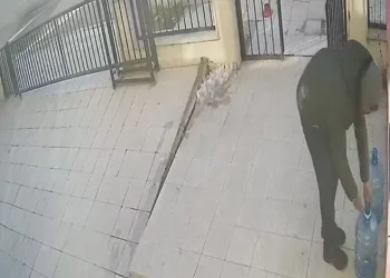 Damacana üzerinde duran su parasına göz dikti