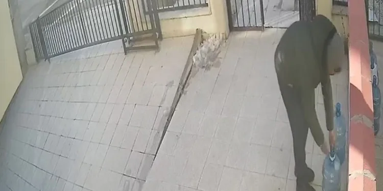 Damacana üzerinde duran su parasına göz dikti