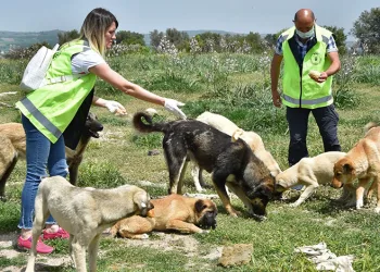 Can dostlara Büyükşehir şefkati