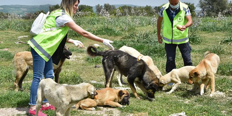 Can dostlara Büyükşehir şefkati